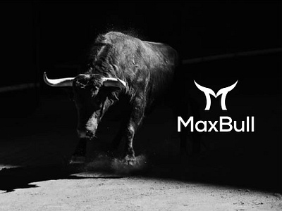 Bull Logo, MaxBull, M+Bull Logo, Bull Abstract, Modern brand identity branding bull abstract logo bull logo bull m logo bull modern logo business logo company logo corporate creative logo design illustration logo design m bull logo m letter logo maxbull logo mbull logo modern logo