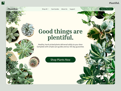 Plantiful Landing Page branding design graphic design landing page logo product design prototype ui ux web design website wireframe