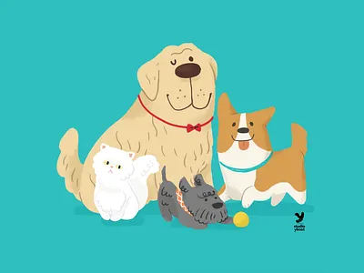 Our little friends animal branding cats character design childrens book dogs flat friendly illustration pet