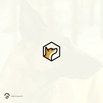 Logo Proposal for Precise Veterinary branding clean coreldraw design dog fun geomtric graphic design hexagon logo minimalist modern vet