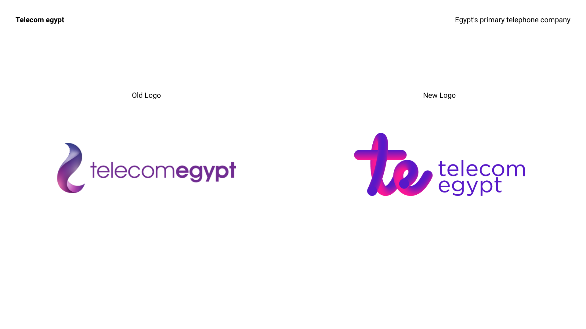 Telecom Egypt Rebranding brand identity branding illustrator logo logo branding