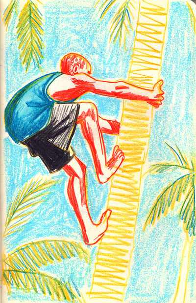 Coconut hunter art artwork colored pencil colorpencil design editorial illustration illustration pencil colour