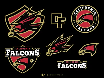Falcon Sports Logo speed