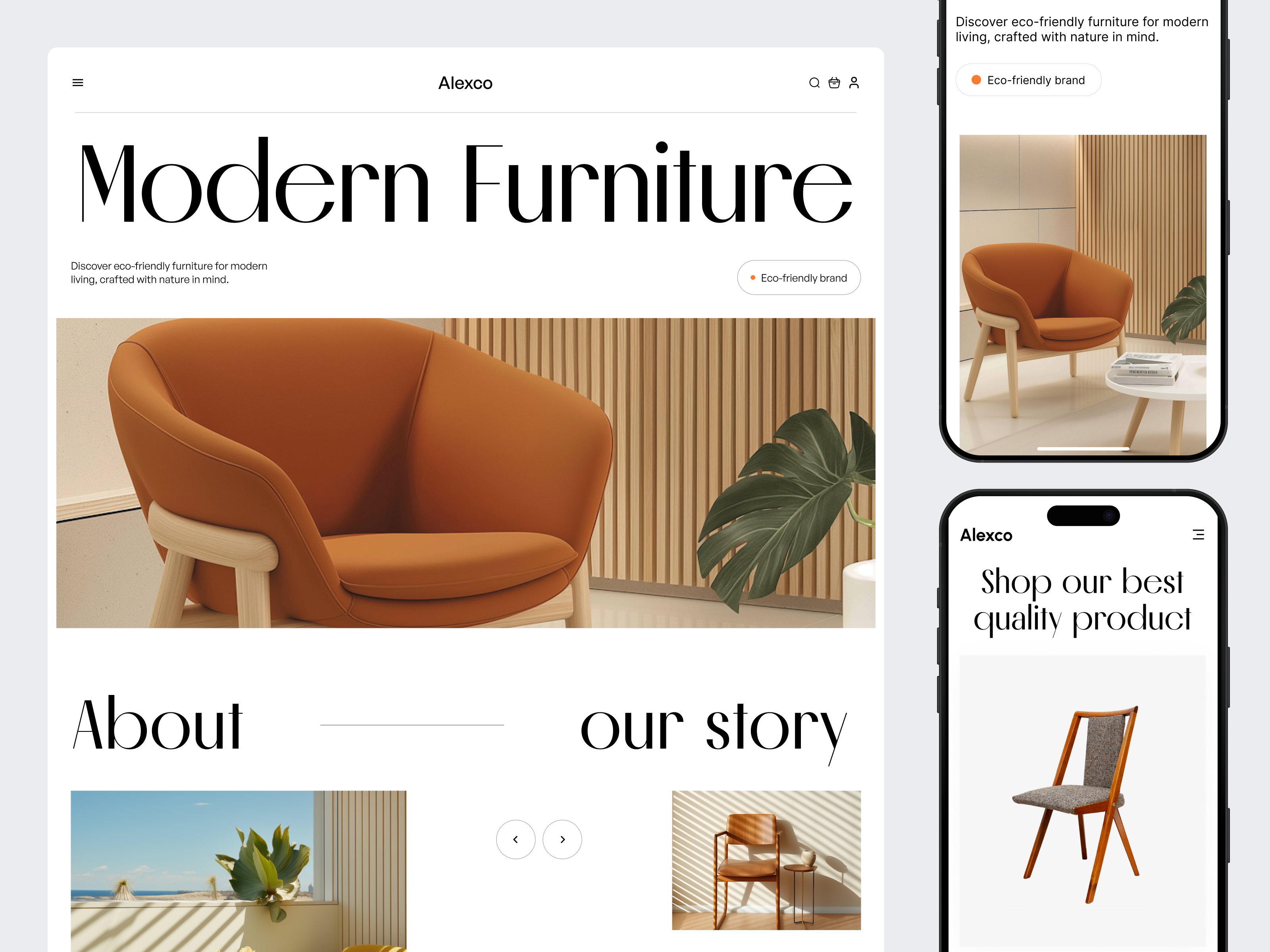 Example of Ecommerce Website Redesign