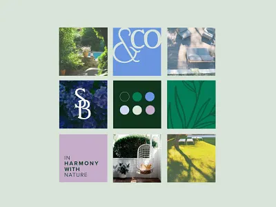 Visual Identity & Web Integration animation branding creative design design graphic design logo motion graphics ui ux