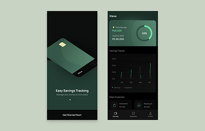 Savings Tracking App branding graphic design ui