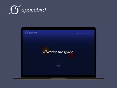 Spacebird branding design graphic design logo ui ux vector webdesign website