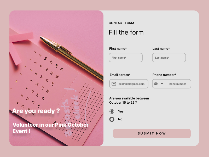 Example of Pink October Event Volunteer Form