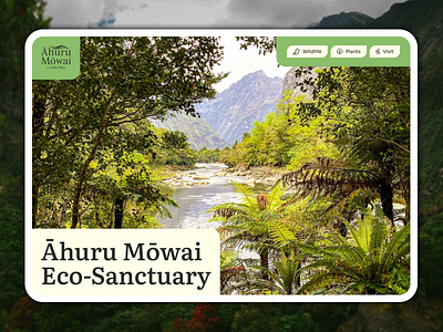 Eco-Sanctuary Website design conservation eco sanctuary graphic design inspiration logo nature new zealand park plants typography web web design web development website wildlife