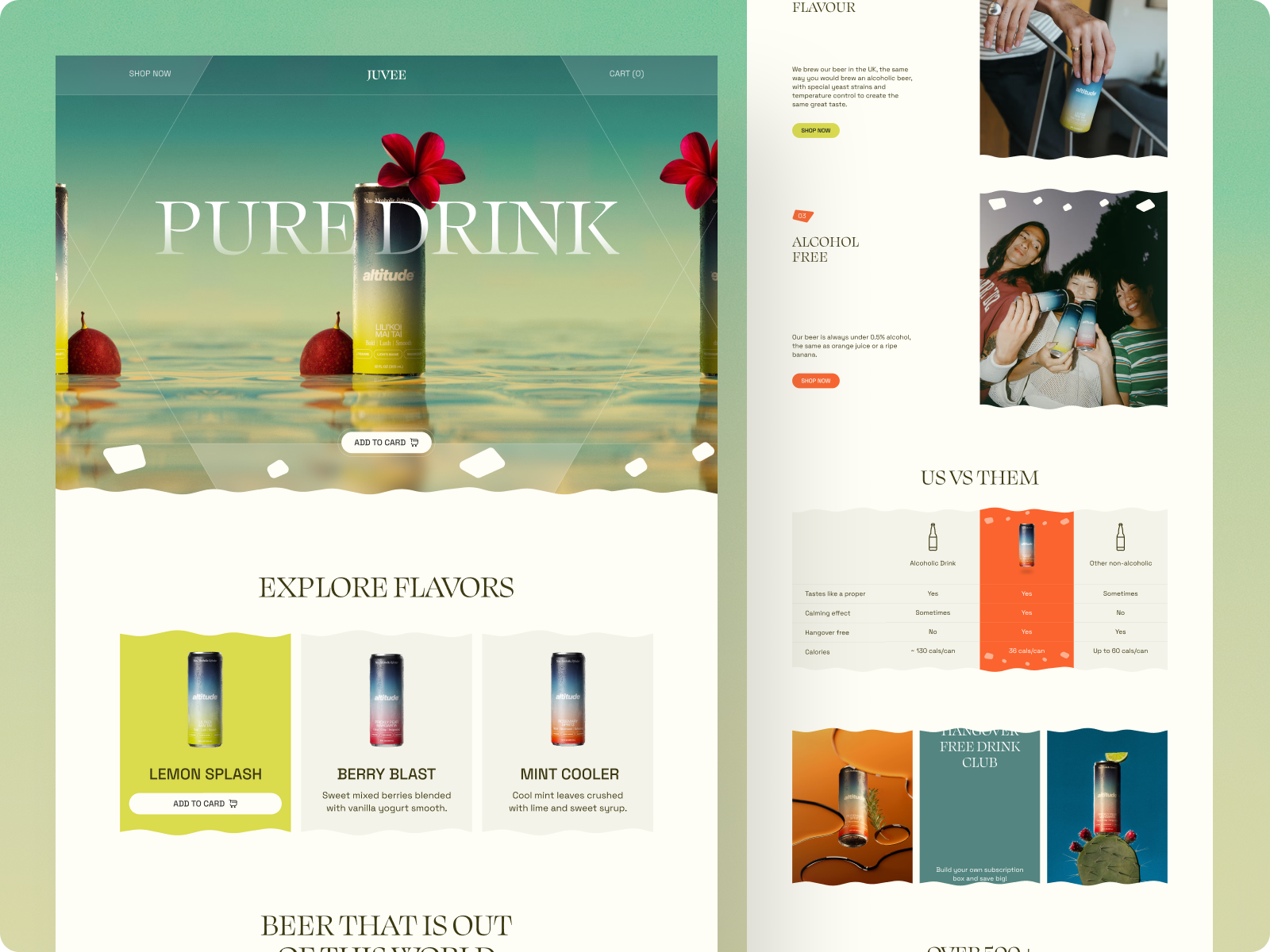 Example of Interactive Website Design & Development