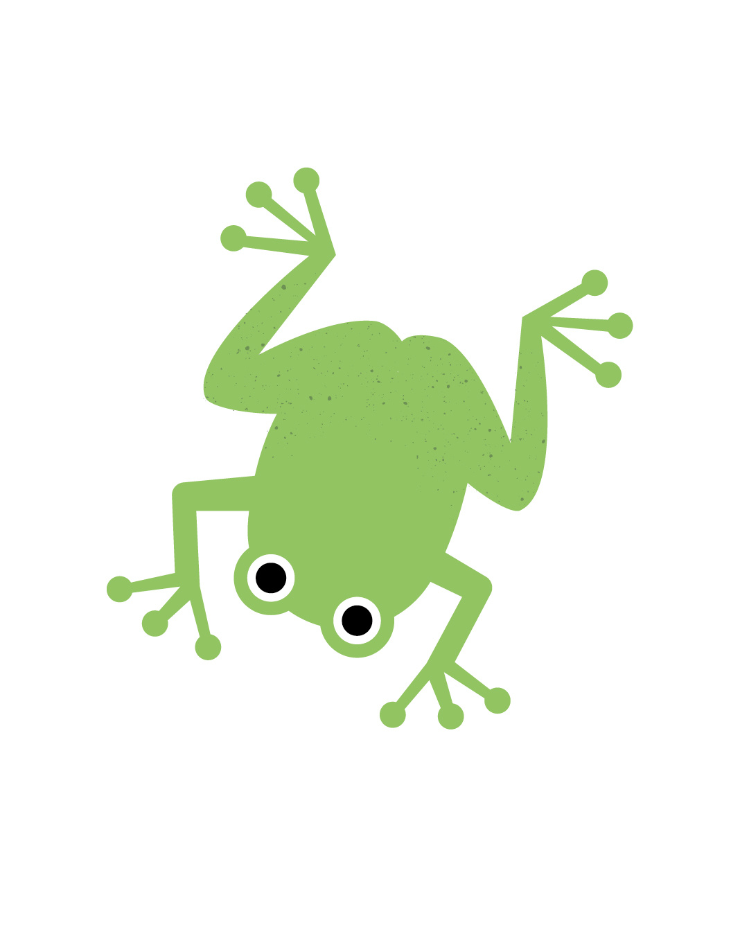 Example of Some Biodiversity Days Animals
