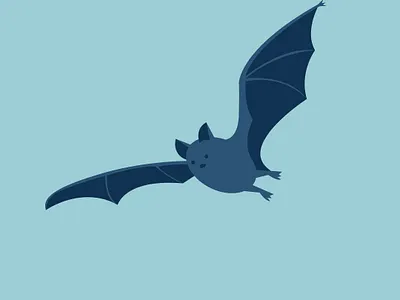 Biodiversity Illustrations 2 bat biodiversity illustration otter salmon vector
