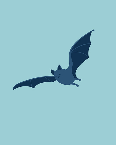 Biodiversity Illustrations 2 bat biodiversity illustration otter salmon vector