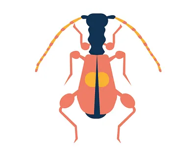 Bugs beetle butterfly illustration moth vector