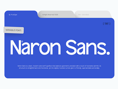 TRT Naron – Semi-Grotesque Sans Font Family blue branding clean design display font editorial elegant file folder style font font family graphic design layout logotype magazine minimalist modern poster professional sans