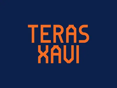 Airbnb logo Teras Xavi blue bnb branding capital design digital dog home house icon illustration indonesia logo orange pet resident vector