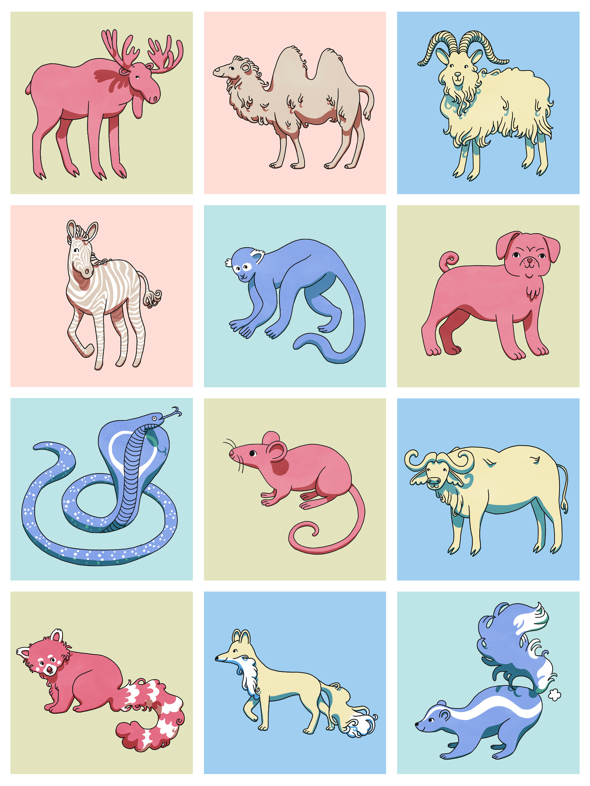 Cute animal illustrations animals character design childrensbook cute illustration kidlit kids
