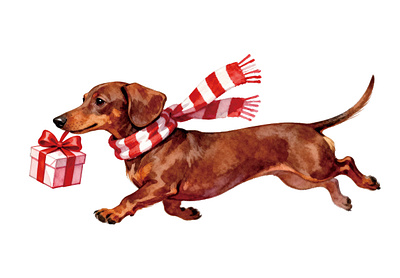 Valentine's Day watercolor puppy illustration valentines day