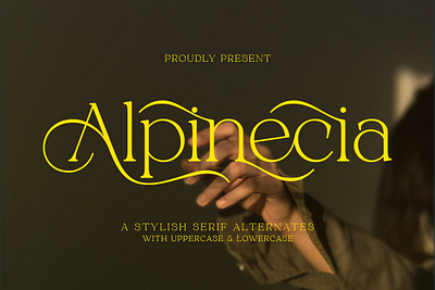 ALPINECIA branding logo retro ui