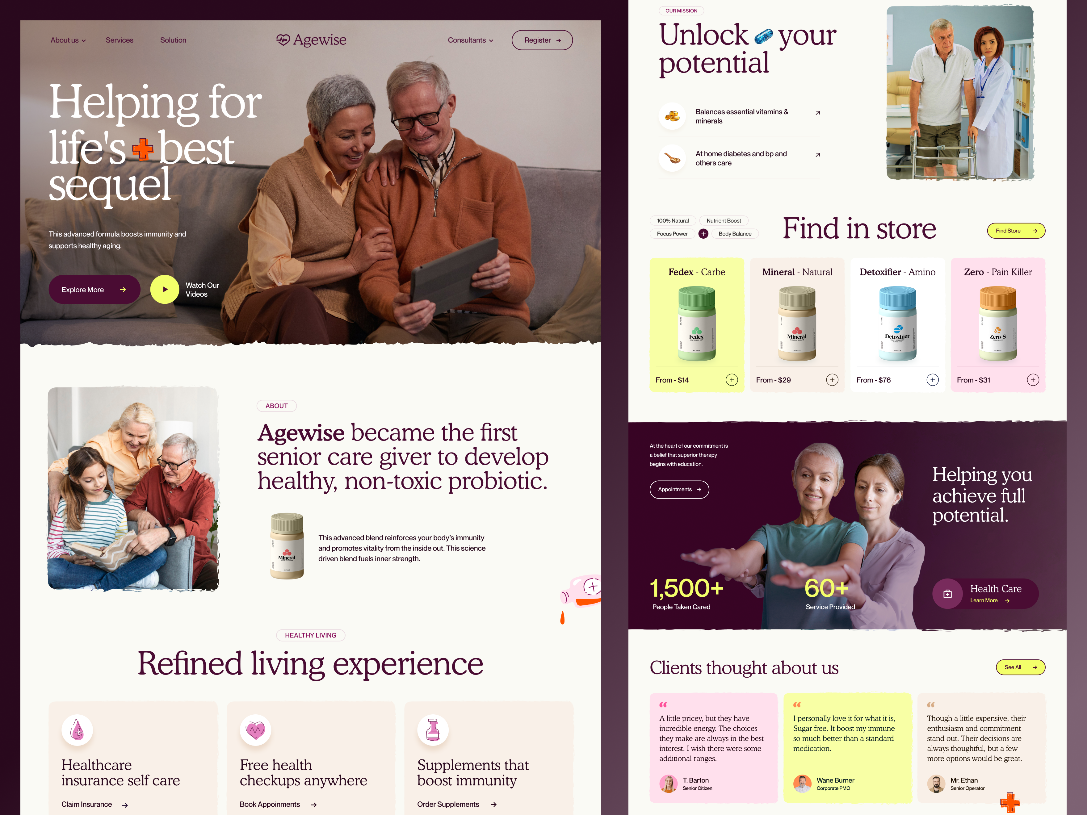 Example of Agewise - Elderly Care Web Design