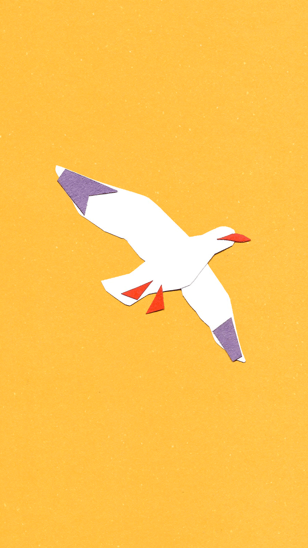 Peachtober 2025 - SEAGULL animation bird collage cut paper design gull illustration loop seagull texture