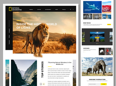 National Geographic Agency Landing page agency website cleanui creativeagency creativelandingpage designagency designshowcase digitalexperience dribbbledesign landingpagedesign minimalui modernwebdesign nationalgeographic natureinspireddesign responsivedesign uiuxdesign userexperience uxshowcase webdesigninspiration webinterface websiteui