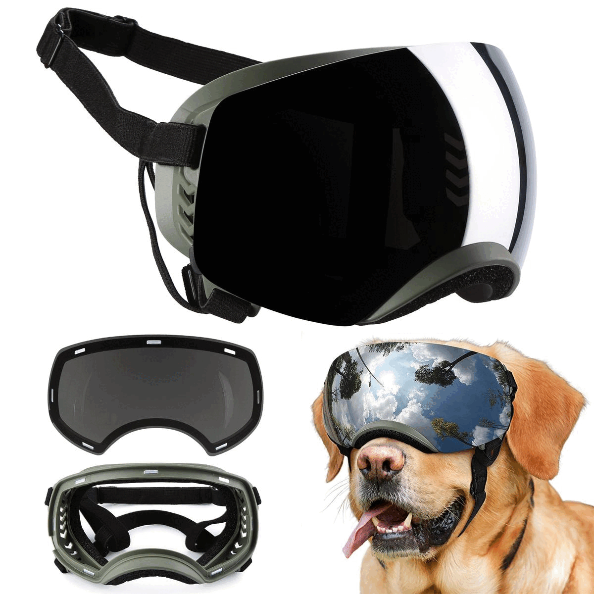 Dog Eye Goggles Protect Your Pup's Vision by Ownpets on Dribbble