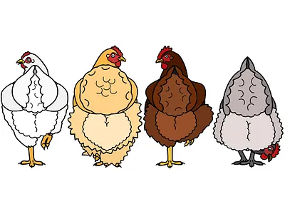 chickens with fluffy butts animal cartoon chicken chicken butt cute design fluffy funny graphic design illustration