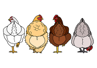 chickens with fluffy butts animal cartoon chicken chicken butt cute design fluffy funny graphic design illustration