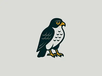 Confident Falcon Logo animal bird branding design emblem falcon icon identity illustration logo mark nature predator raptor retro sports symbol vector vintage wings