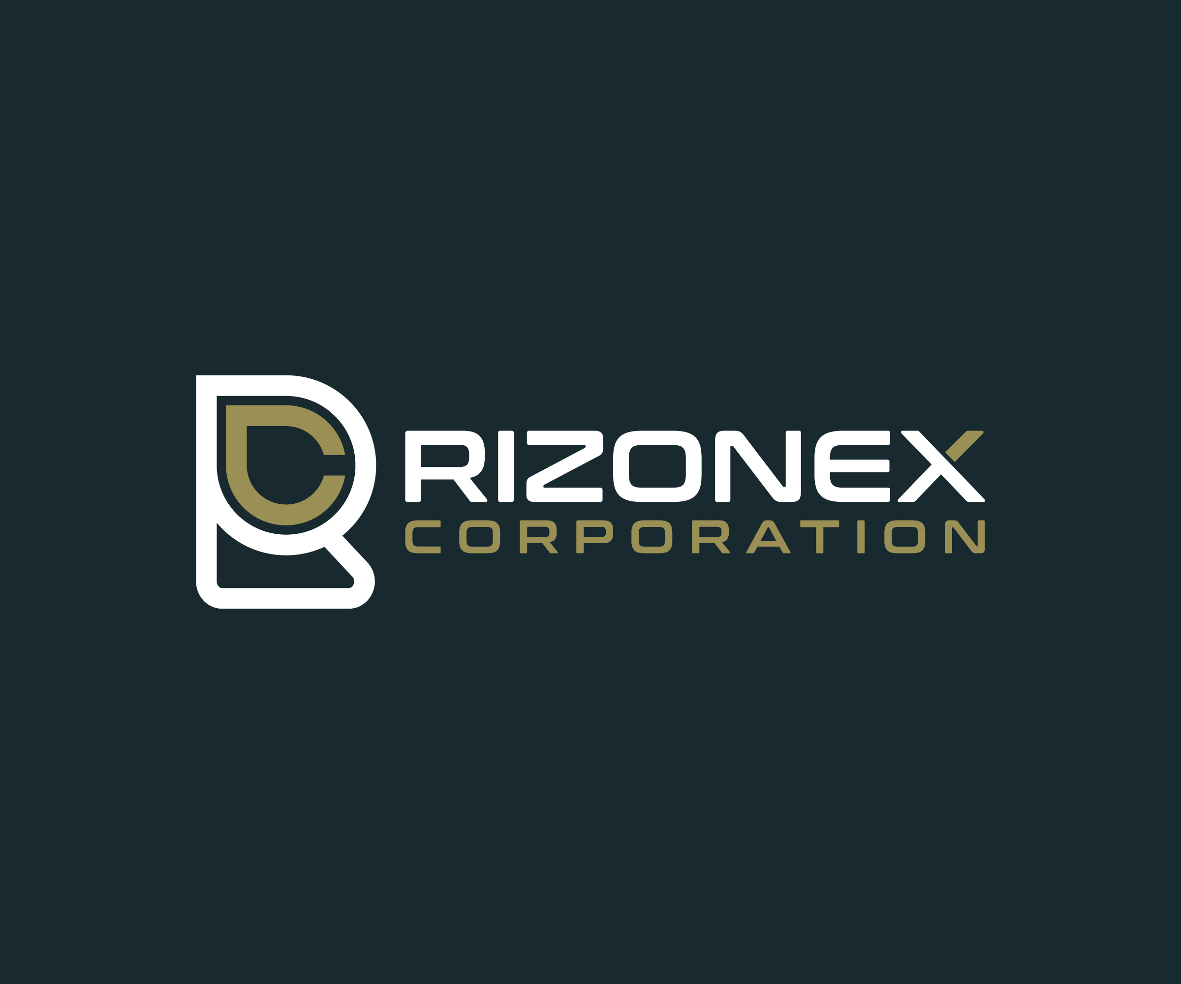 Example of Modern Custom Logo Design