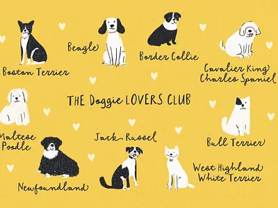 Using Everything's Peachy font :) cursive cute dogs drawing fonts fun branding fun packaging handwriting illustrated pets typeface