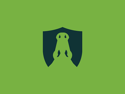 Crocodile shield logo unused for sale abstract logo animal app icon business logo crocodile eco green lifestyle modern natural nature and wild protection reptile safe shield wild