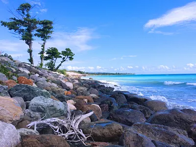 Nature Photography adobe lightroom color correction nature photography photography