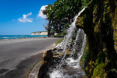 Nature Photography (Jamaica) adobe lightroom color correction nature photography photography