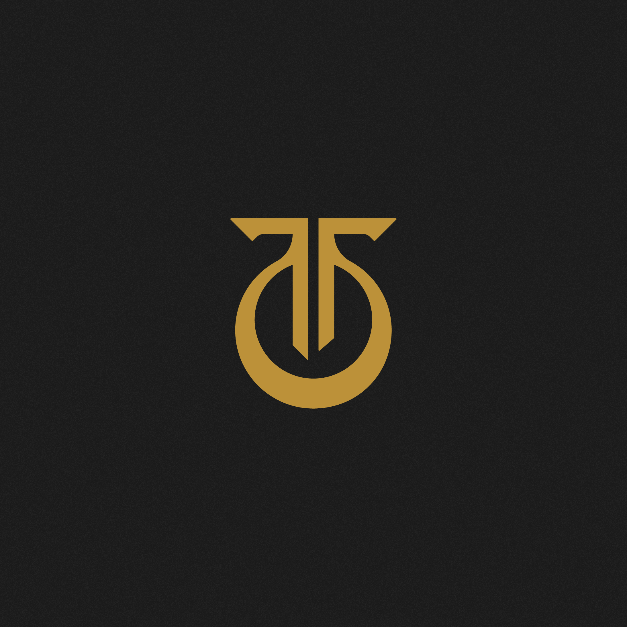 Example of Professional Minimalist Logo