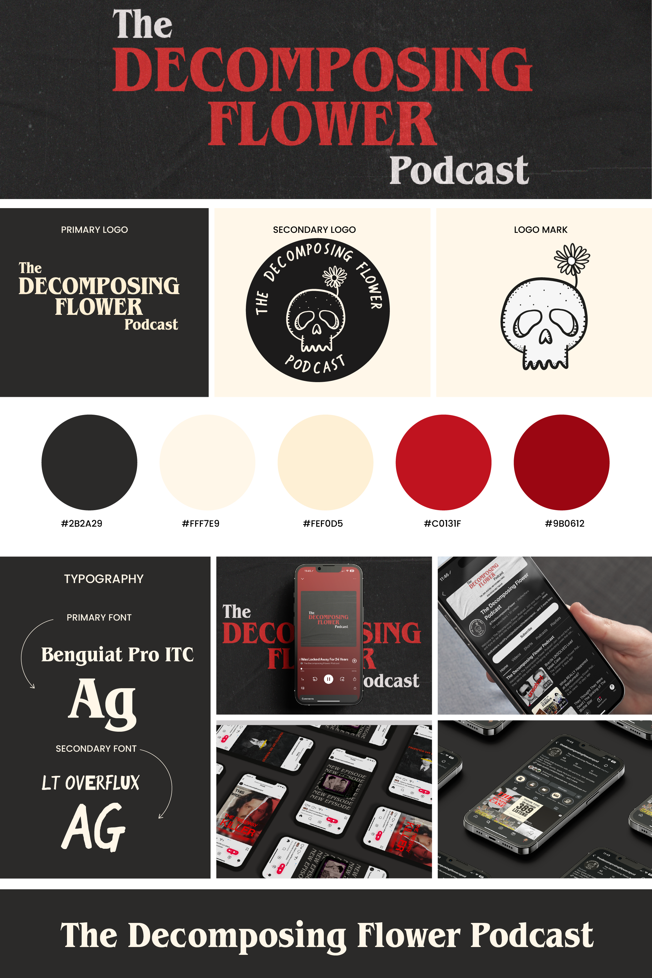 Example of Brand Design   Starter Kit Package 