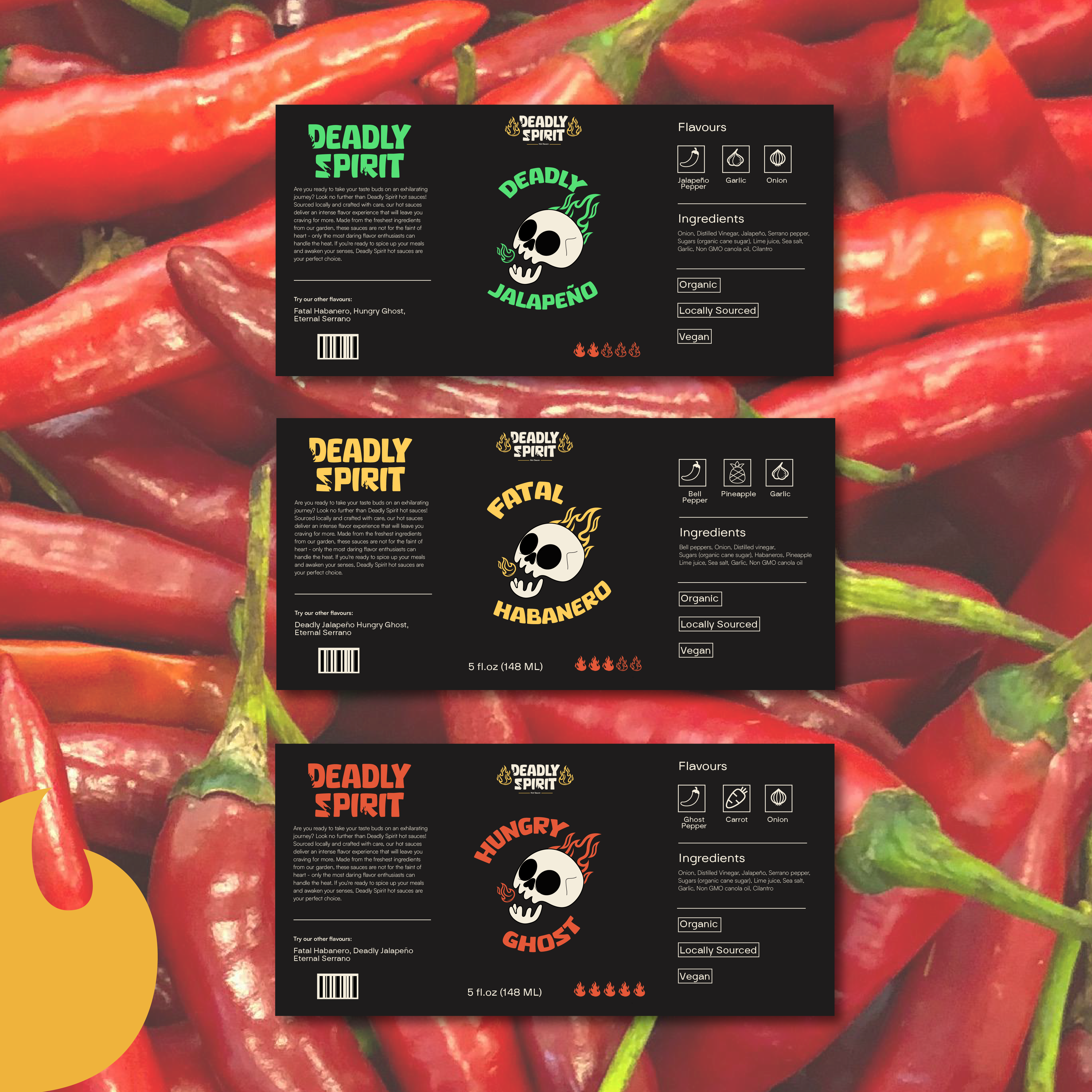 Example of Brand Design   Starter Kit Package 