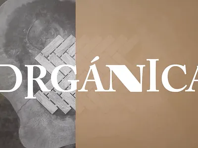 Text and Graphics Animation for Terra Tile animated logo animated text animation interior design kinetic text logo animation motion motion graphics photo animation text animation typography animation