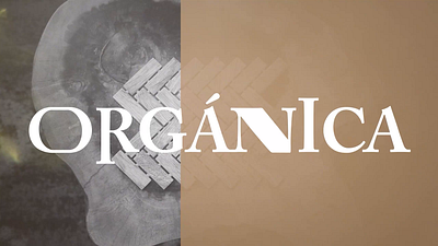 Text and Graphics Animation for Terra Tile animated logo animated text animation interior design kinetic text logo animation motion motion graphics photo animation text animation typography animation