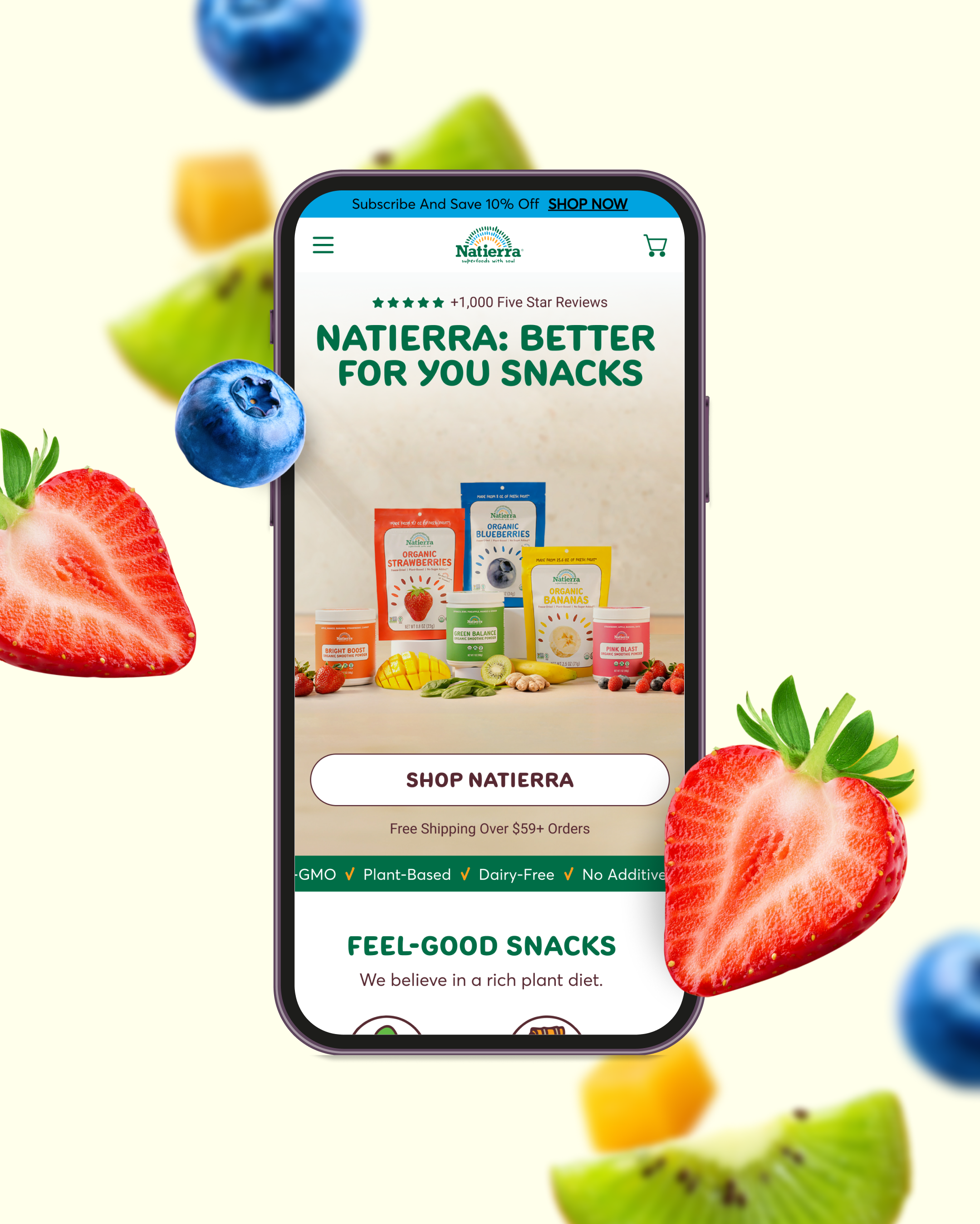 Natierra: Website Design
