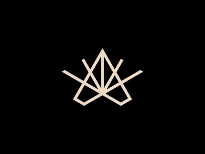 Antaris line art logo modern simple