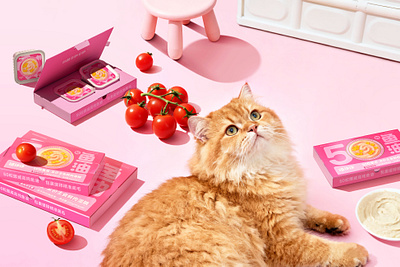 白色至上设计｜喵铮铮50粒鱼油包装设计｜Pet Packaging Design brand design branding design graphic design illustration logo packaging pet