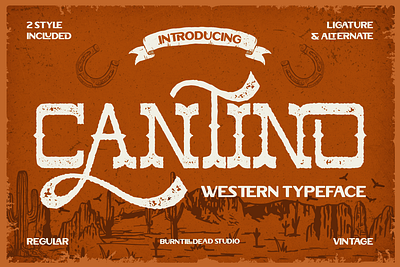 Cantino adventure font branding cowboy design cowboy font custom font display font font font design font style free font lettering poter font retro font rustic font slab serif font typeface vintage font west wild font western font