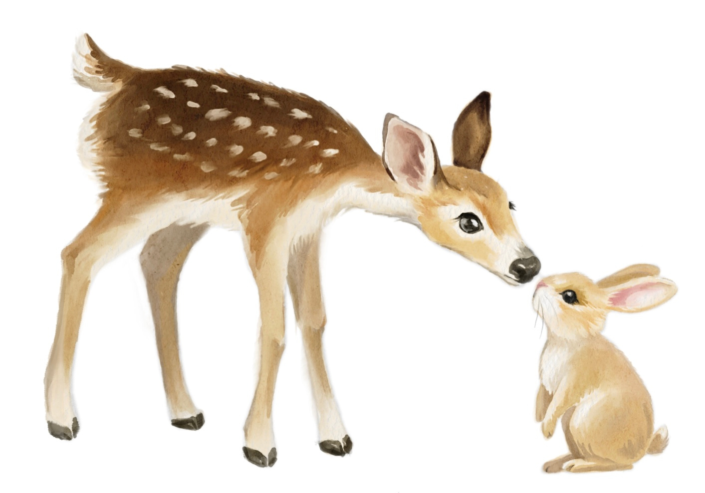 Animals Illustrations for Children’s Book animals animals illustration artwork book illustration character design children book cute digital art digital illustration digital painting digital watercolor drawing illustration picture book