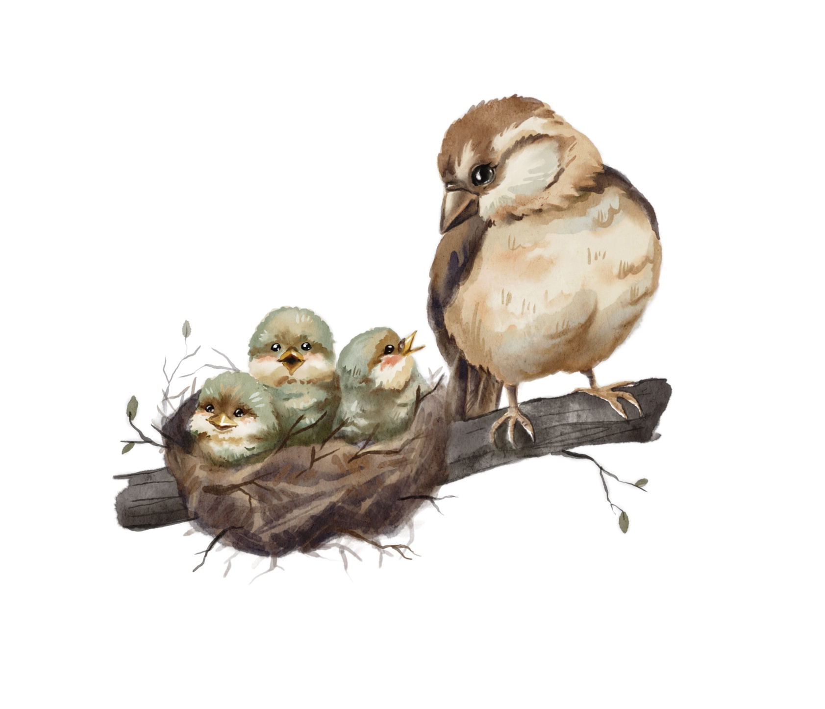 Animals Illustrations for Children’s Book animals animals drawing animals picture artwork book illustration character design children literature childrens book design digital art digital illustration digital painting digital watercolor drawing illustration picture book