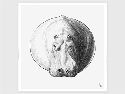 Balloon Hippo animal black and white book illustration character character design concept drawing fauna flora hippo illustration nature pencil portrait sketch