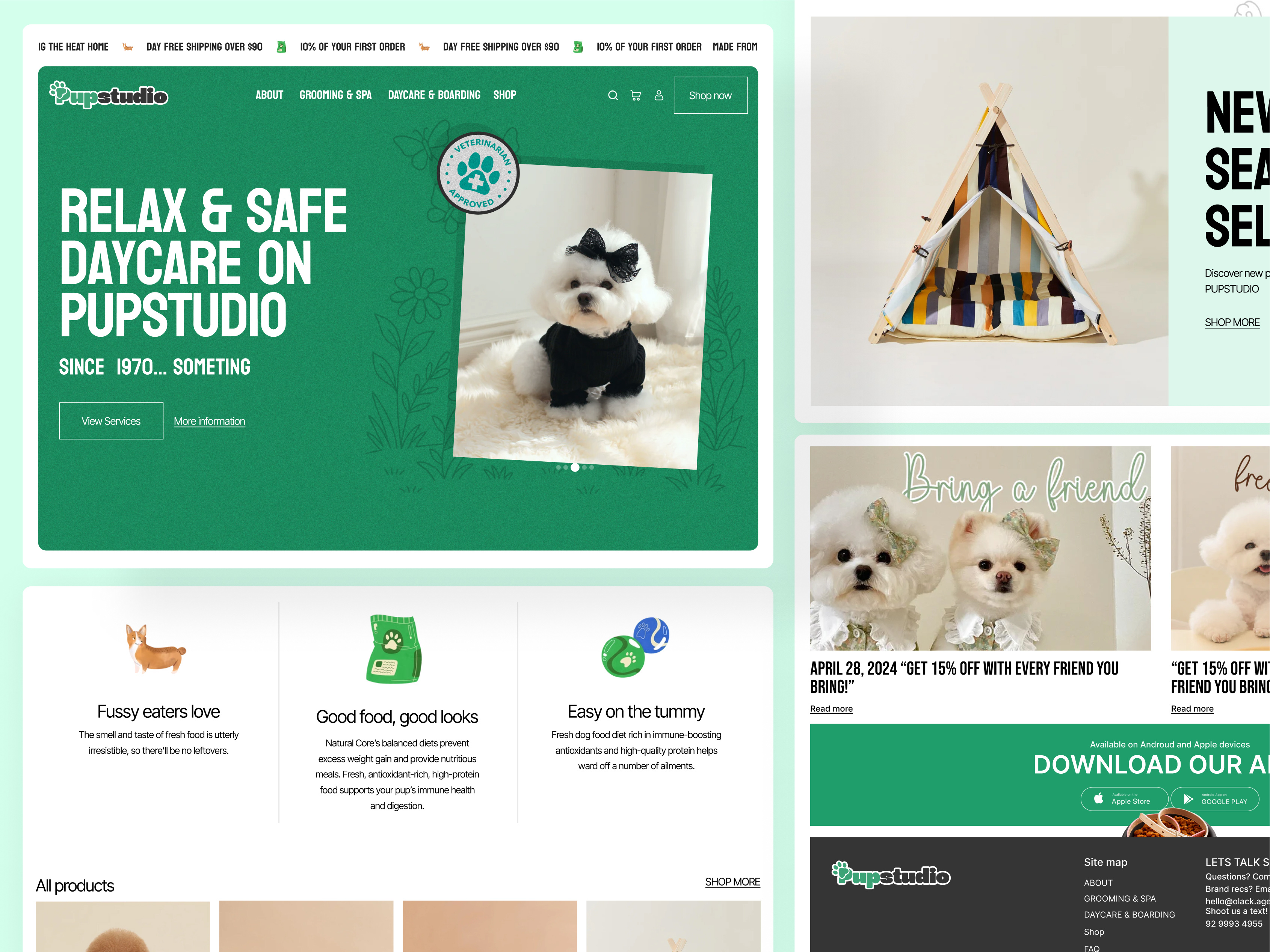 Example of Pet Care Website Design