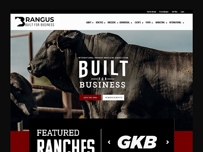 Brangus Association Web Design agriculture web design association web design association website cattle web design web design website design