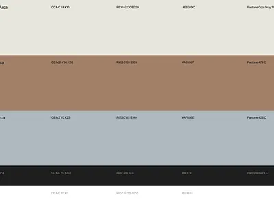 ARCA - STORE branding color graphic design palette
